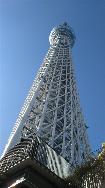 ロボプロ大会 スカイツリー