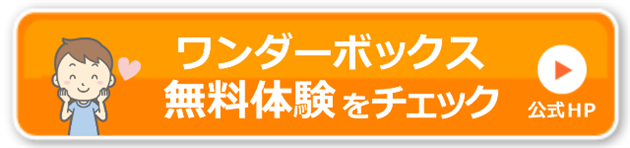 ワンダーボックスの体験