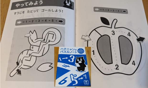 ワンダーボックスのパズル