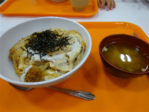 ヒューマンアカデミーロボット教室,全国大会,観戦,2016