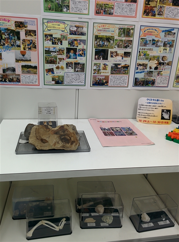 プロ・テック倶楽部 体験