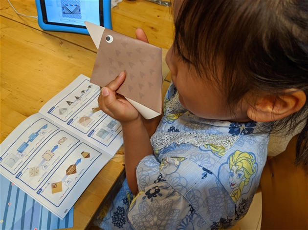 ワンダーボックス効果