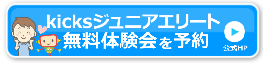 クレファスキックスジュニアエリート料金